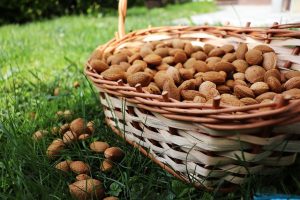 Briden Wilson Farm Walnuts & Almonds Online